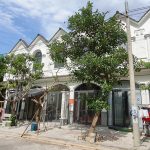 Tại Sao 34 Căn Hộ Xây Dựng Trái Phép Còn Tồn Tại?